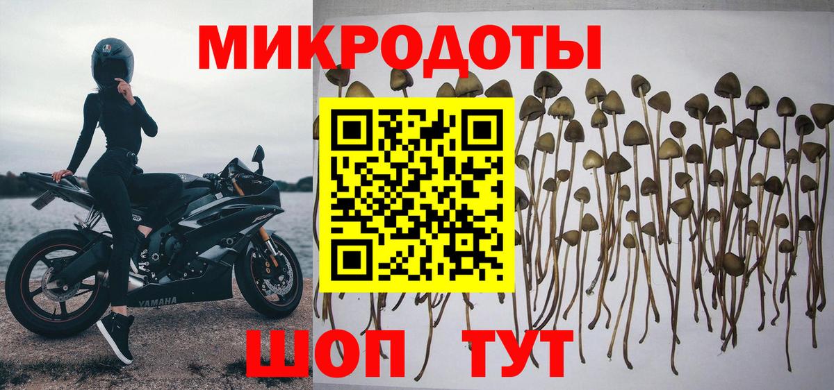 Псилоцибиновые грибы Magic Shrooms Мурино